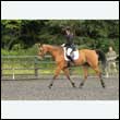 durdress26_0390