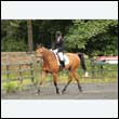 durdress26_0391