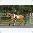 durdress26_0392