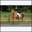 durdress26_0393