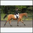 durdress26_0394