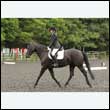 durdress26_0395