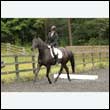 durdress26_0396