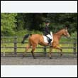 durdress26_0397