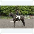 durdress26_0398