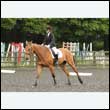 durdress26_0399
