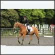 durdress26_0400