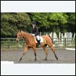 durdress26_0401
