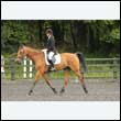 durdress26_0402