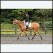 durdress26_0403