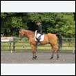 durdress26_0404