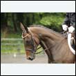 durdress26_0405