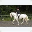 durdress26_0406