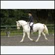 durdress26_0407