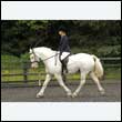durdress26_0408