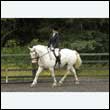 durdress26_0412