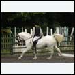 durdress26_0413
