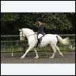 durdress26_0415