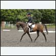 durdress26_0423
