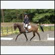 durdress26_0424