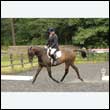 durdress26_0425
