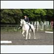 durdress26_0426