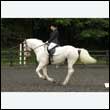 durdress26_0428