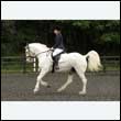 durdress26_0429