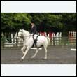 durdress26_0432