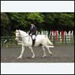 durdress26_0434