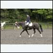 durdress26_0438