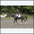durdress26_0439
