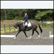 durdress26_0440