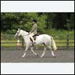 durdress26_0441