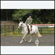 durdress26_0442