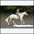 durdress26_0445