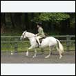 durdress26_0447