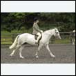 durdress26_0449