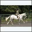 durdress26_0458