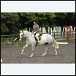 durdress26_0462