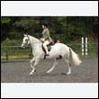 durdress26_0464