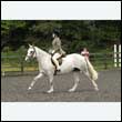 durdress26_0465