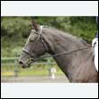 durdress26_0470