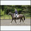 durdress26_0471