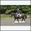 durdress26_0472