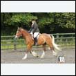 durdress26_0474