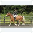 durdress26_0478