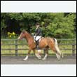 durdress26_0479