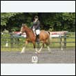 durdress26_0480