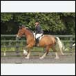 durdress26_0481